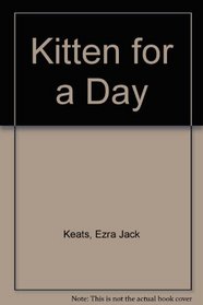 Kitten for a day