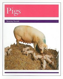 Pigs (PM Animal Facts: Farm Animals)