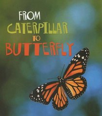From Caterpillar to Butterfly (How Living Things Grow)