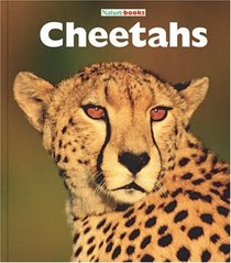 Cheetahs: Big Cats (Naturebooks)
