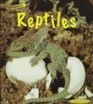 Reptiles (Animal Babies (Des Plaines, Ill.).)