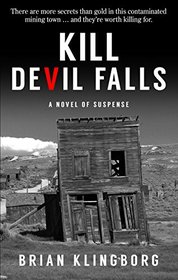 Kill Devil Falls (Thorndike Press Large Print Lifestyles Peer Picks)