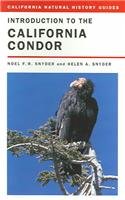 Introduction to the California Condor (California Natural History Guides)