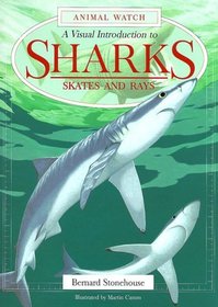 A Visual Introduction to Sharks, Skates and Rays (Animal Watch)