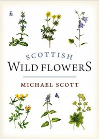 Scottish Wild Flowers: Mini Guide