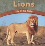 Lions: Life in the Pride (Wild World of Animals)