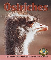 Ostriches (Early Bird Nature Books)