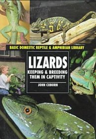 Lizards (Reptiles and Amphibians)