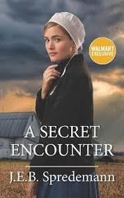 A Secret Encounter (Amish Secrets, Bk 2)