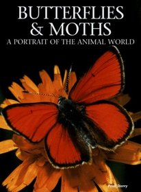 Butterflies and Moths: A Portrait of the Animal World