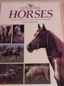 Nature Library : Horses (Nature Library)