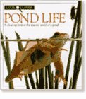 Look Closer: Pond Life