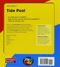 Tide Pool: Look Inside