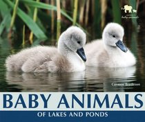 Baby Animals of Lakes and Ponds (Nature's Baby Animals)