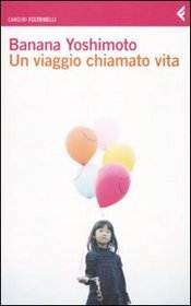 Un Viaggio Chimato Vita (Italian Edition)
