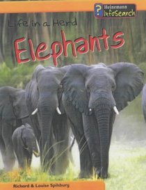 Life in a Herd of Elephants (Animal Groups)