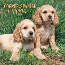 Cocker Spaniel Puppies 2008 Mini Wall Calendar (German, French, Spanish and English Edition)