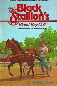 The Black Stallion's Blood Bay Colt (Black Stallion, Bk 6)