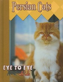 Persian Cats (Eye to Eye With Cats)