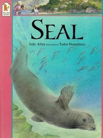 Animals at Risk: Seal (Animals at Risk)