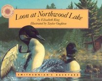 Loon at Northwood Lake (Smithsonian's Backyard)