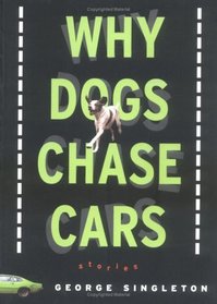Why Dogs Chase Cars : Tales of a Beleaguered Boyhood