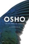 Un pajaro al viento/ A Bird on the Wing: Talks on Zen (Spanish Edition)