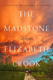 The Madstone: A Novel