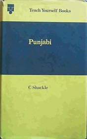 Punjabi (Teach Yourself)