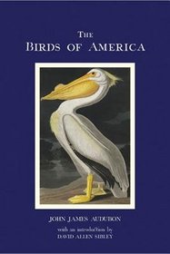 Birds of America [BIRDS OF AMER] [Hardcover]