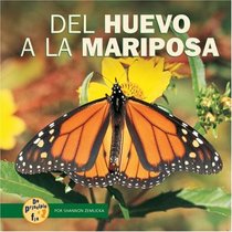 Del Huevo a La Mariposa/from Egg to Butterfly (De Principio a Fin/Start to Finish) (Spanish Edition)