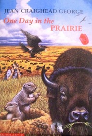 One day in the prairie
