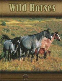 Wild Horses (Eye to Eye With Horses)