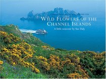 Wild Flowers of the Channel Islands Little Souvenir (Little Souvenir Books)