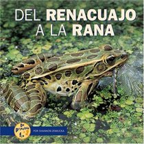 Del Renaucajo a La Rana / from Tadpole to Frog (De Principio a Fin / Start to Finish) (Spanish Edition)