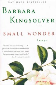 Small Wonder_display: Essays