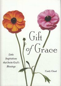 Gift of Grace - Little Inspirations that Invite God's Blessings
