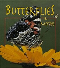 Butterflies and Moths (Crabapples)