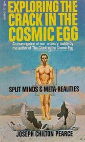 Exploring the Crack in the Cosmic Egg: Split Minds and Meta-Realities