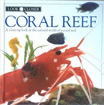 Coral Reef (Look closer)