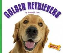 Golden Retrievers (Domestic Dogs)