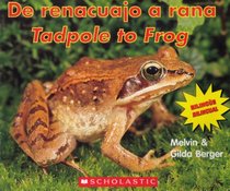 de Renacuajo a Rana =: Tadpole to Frog (Spanish Edition)