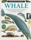 Whale (Eyewitness Books (Library))