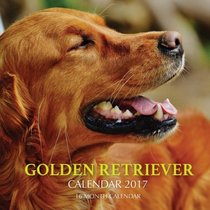 Golden Retriever Calendar 2017: 16 Month Calendar