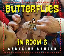 Butterflies in Room 6: See How They Grow (Life Cycles in Room 6)
