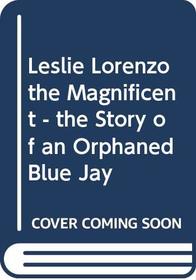 Lorenzo the Magnificent : the Story of an Orphaned Blue Jay