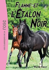 Flamme et l'etalon noir (The Black Stallion and Flame) (Black Stallion, Bk 15) (French Edition)