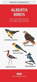 Alberta Birds (Pocket Naturalist Ser)