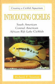 Introducing Cichlids (Creating a Cichlid Aquarium)