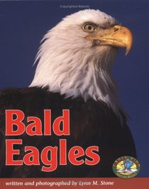 Bald Eagles (Early Bird Nature Books)